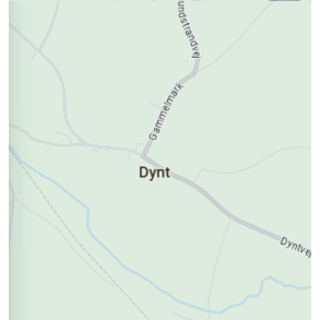 Dynt